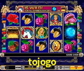 Live Casino tojogo